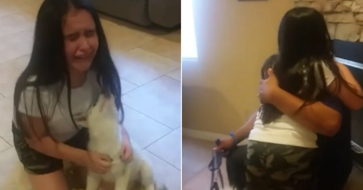 3 40.png?resize=412,232 - Little Girl Gets The Best Surprise in The World As Her Family Brings Her A Husky Pup