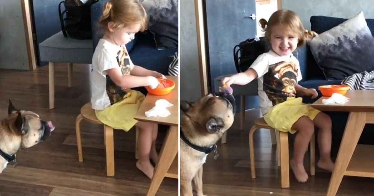 3 47.jpg?resize=1200,630 - Little Girl Shared Her Breakfast With Her Dog Best Friend