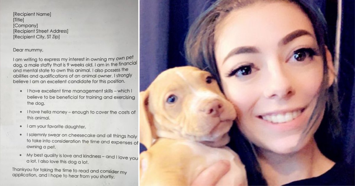 3 57.png?resize=1200,630 - Teen Who Desperately Wanted a Puppy Wrote A Hilarious CV to Her Mother And It Actually Worked Out