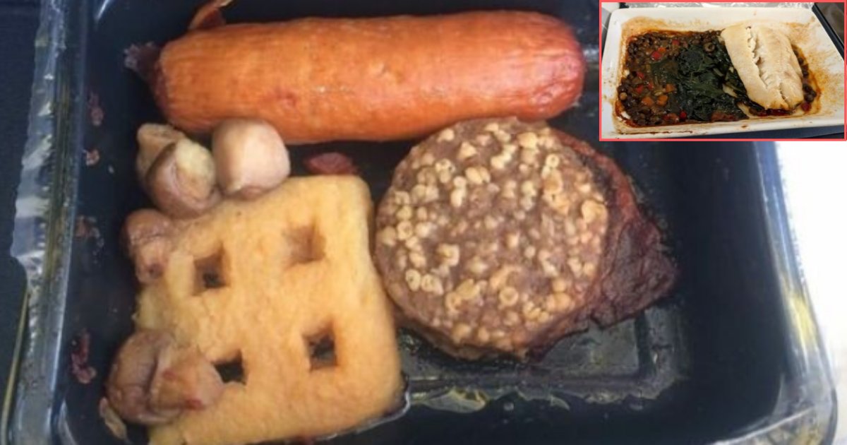 3 58.png?resize=412,232 - Passengers Shared The Pictures of their Worst Flight Meals And They Are Something