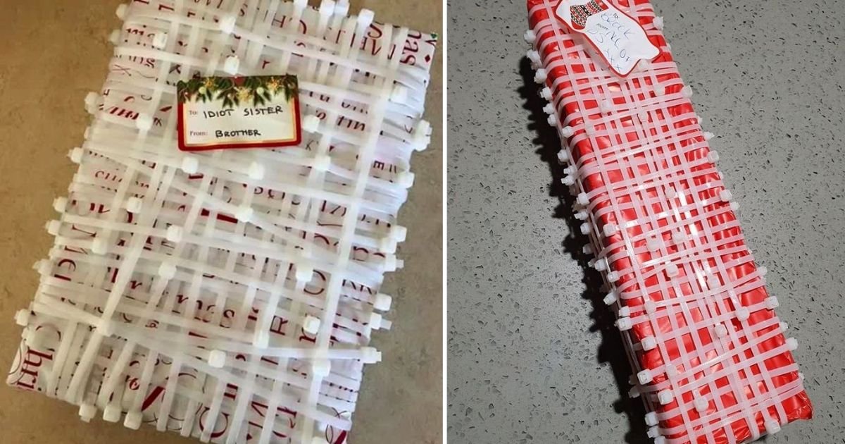 5 24.jpg?resize=1200,630 - A Sister Wraps Her Brother's Christmas Present in Cable Ties As A Prank
