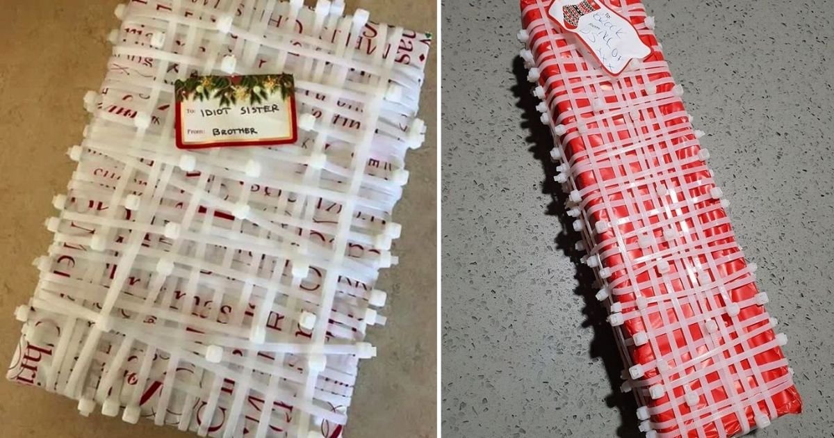 5 24.jpg?resize=412,275 - A Sister Wraps Her Brother's Christmas Present in Cable Ties As A Prank