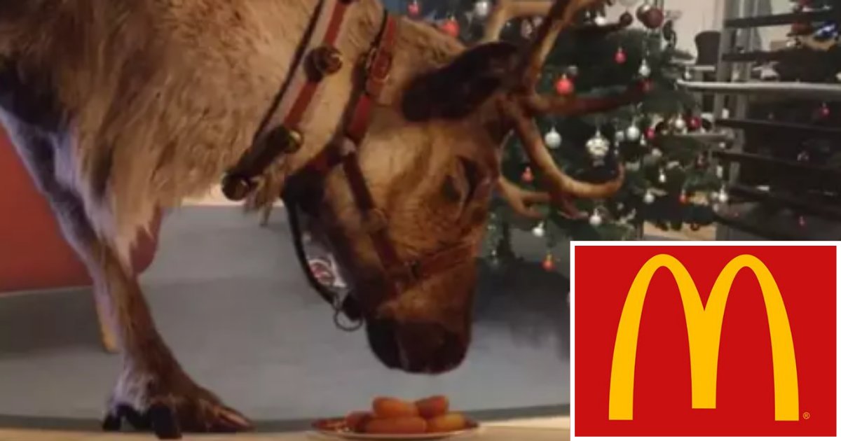 5 39.png?resize=1200,630 - The Reindeer App McDonald's Launched Last Year Has Returned to Give You Festive Vibes