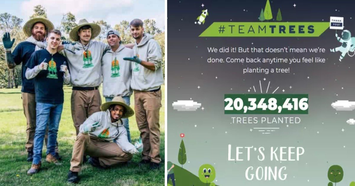 a 102.jpg?resize=1200,630 - YouTubers Teamed Up And Planted 20 Million Trees Within Just Two Months Of Their Incredible Campaign