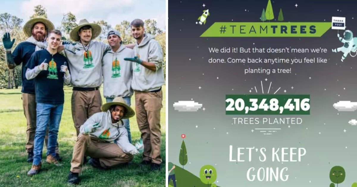 a 102.jpg?resize=412,275 - YouTubers Teamed Up And Planted 20 Million Trees Within Just Two Months Of Their Incredible Campaign