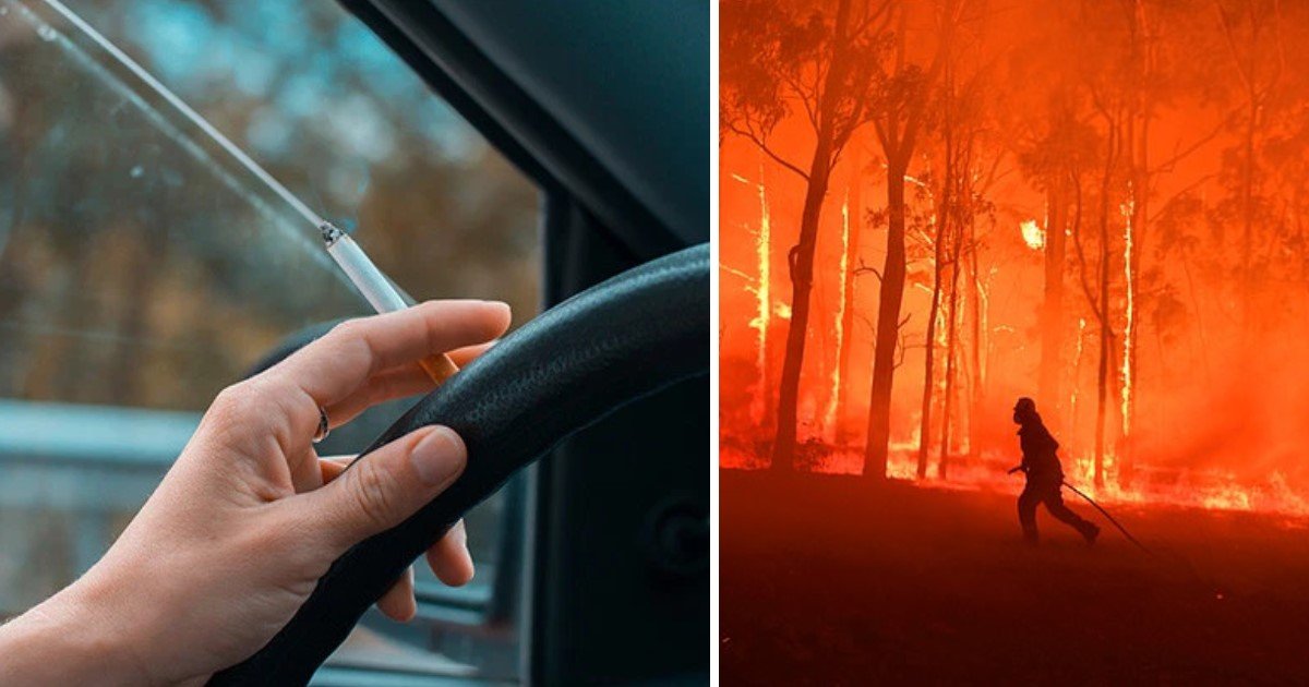 a 97.jpg?resize=1200,630 - Drivers May Pay Up To $11k For Throwing Cigarettes Out Of Their Cars In Australia