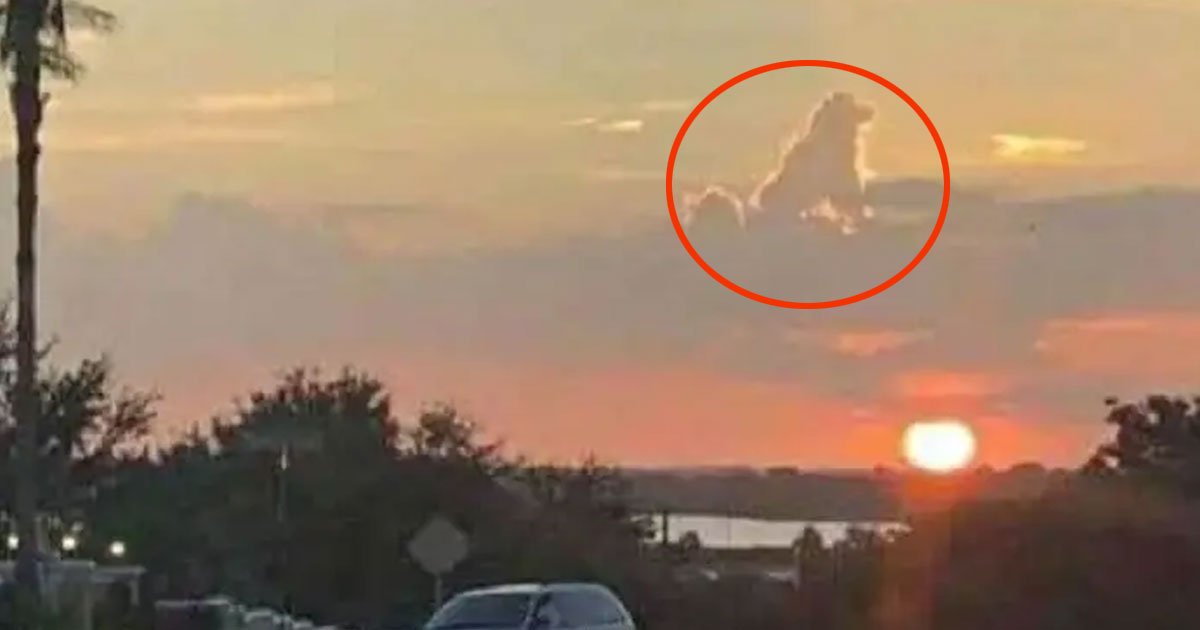 a cloud in the shape of a dog appeared in the sky and it looks so mesmerizing.jpg?resize=1200,630 - Someone Spotted A Cloud Shaped Exactly Like A Dog In The Sky