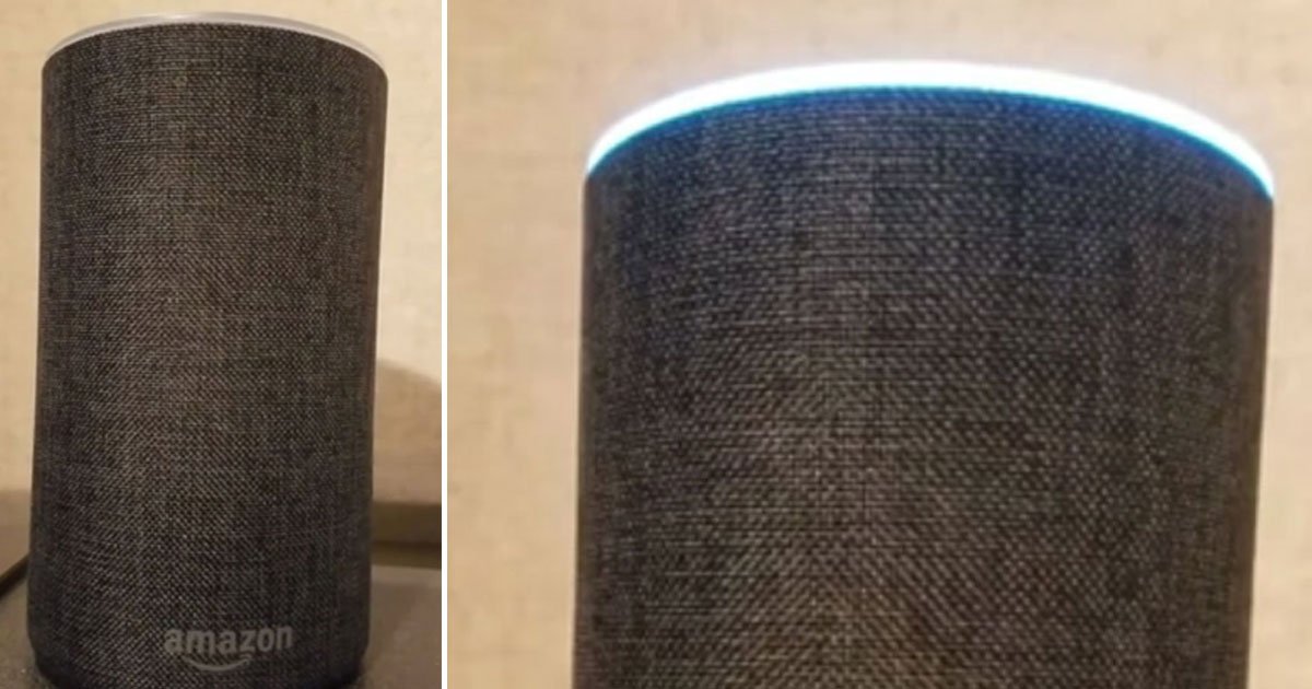 amazon alex baby shark.jpg?resize=412,275 - Amazon Alexa Slammed The Owner For Asking To Play “Baby Shark” Again And Again