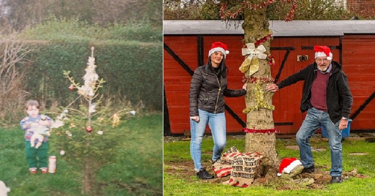 c3 10.jpg?resize=1200,630 - Christmas Tree A Man Planted For His Baby Granddaughter 30 Years Ago Is Now 30 Feet Tall