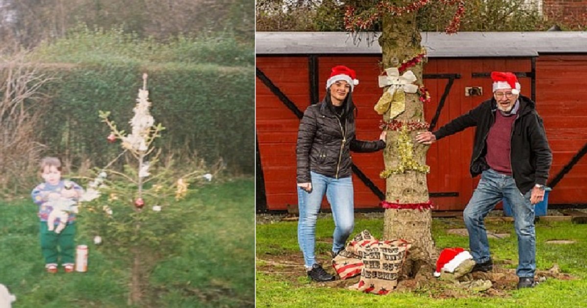 c3 10.jpg?resize=412,275 - Christmas Tree A Man Planted For His Baby Granddaughter 30 Years Ago Is Now 30 Feet Tall