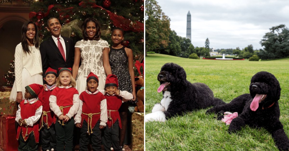 card5.png?resize=1200,630 - La famille Obama a partagé une adorable carte de Noël co-signée par leurs chiens Sunny et Bo