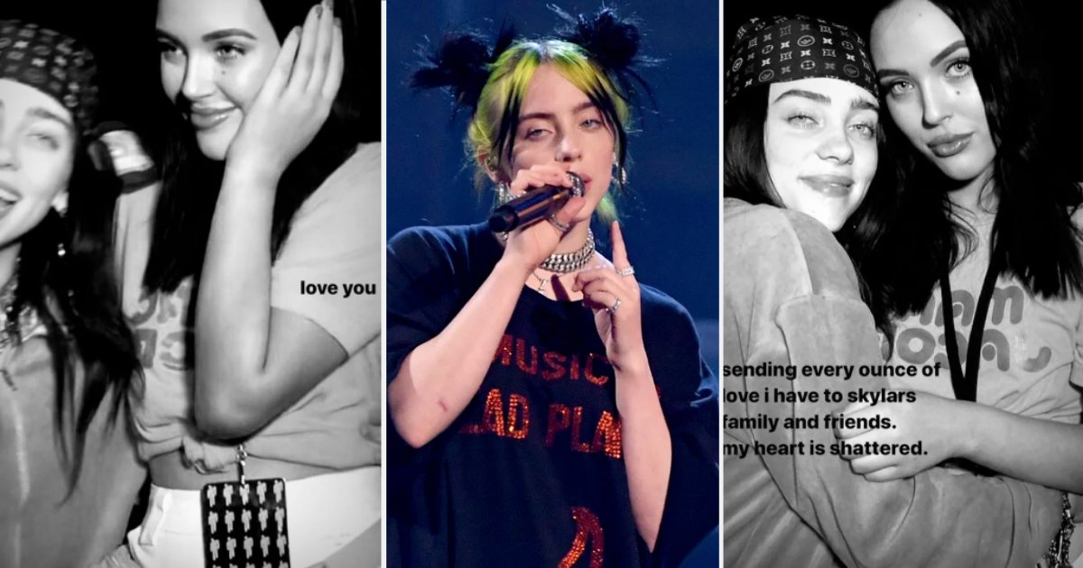 d6.png?resize=1200,630 - Billie Eilish Says She is Shattered On The Death of Two of Her SuperFans