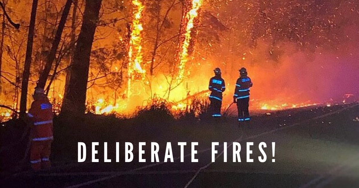 deliberate fires.png?resize=412,275 - Three Young Boys Caught Starting Fires On Purpose During The Bushfire Crisis