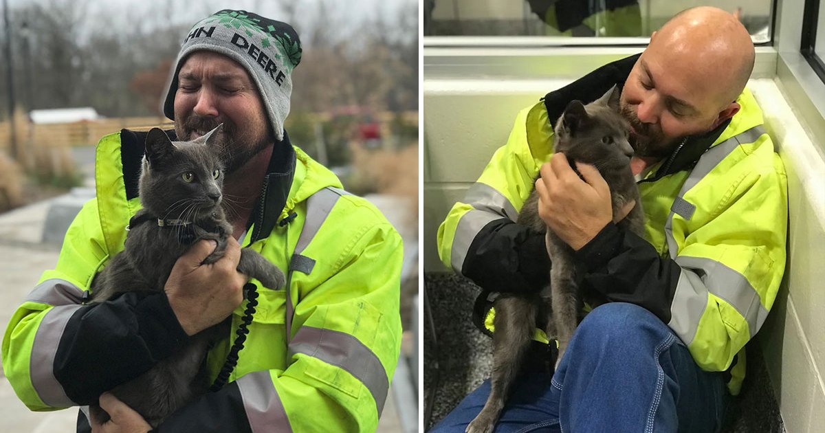 fagddasgadg.jpg?resize=412,275 - Trucker Reunites With Feline Travel Buddy Four Months After He Went Missing