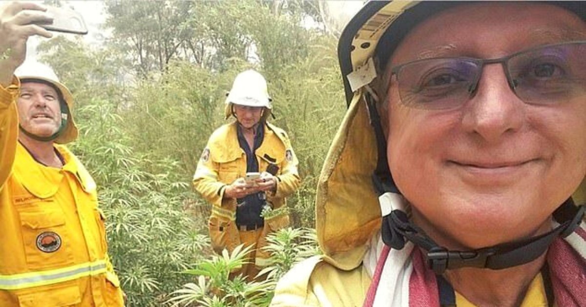 fire5.png?resize=1200,630 - Firefighters Stumbled Across A Hidden Field Of Huge Cannabis Crop While Fighting Bushfires