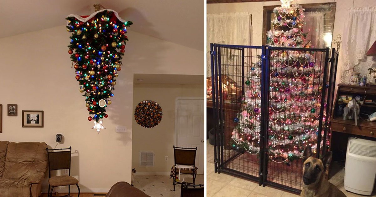 genius ideas christmas tree.jpg?resize=412,232 - Genius Ideas To Keep Your Christmas Trees And Decorations Safe This Christmas