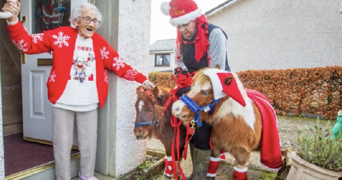 h3 5.jpg?resize=1200,630 - 95-Year-Old Woman Got A Lovely Surprise Visit From Mini-Horses Dressed As Santa