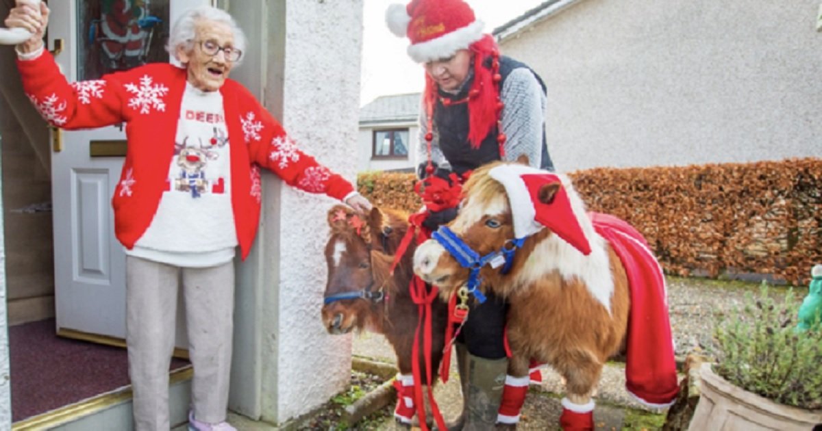 h3 5.jpg?resize=412,275 - 95-Year-Old Woman Got A Lovely Surprise Visit From Mini-Horses Dressed As Santa