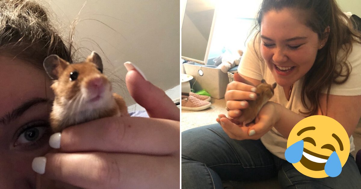 hams7.png?resize=412,275 - Father Freaked Out And Skipped Work After Losing Daughter's Hamster