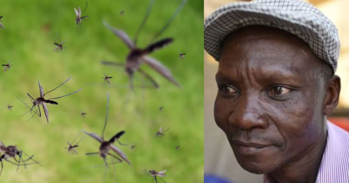 man who claims his fart vanishes all the mosquitoes has been signed up by insect repellent companies.jpg?resize=412,275 - A Man Claimed He Protects People In His Village From Mosquitoes With His Farts