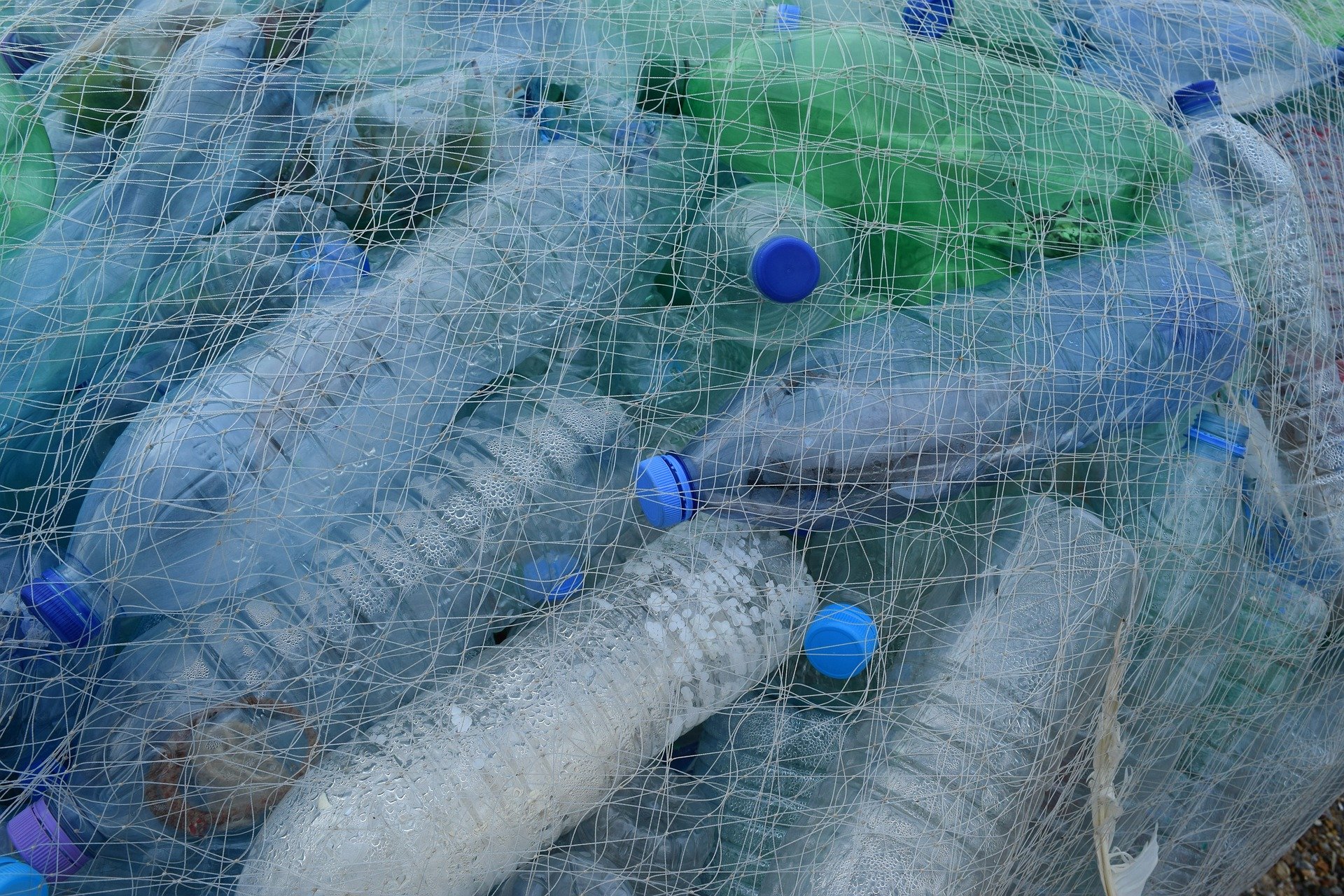 plastic bottles 388679 1920.jpg?resize=1200,630 - Environnement : les emballages plastiques à usage unique pourraient disparaître totalement en 2040