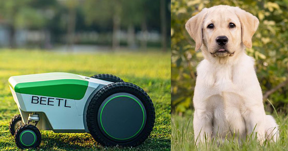 robot that detects and cleans up your dogs mess using cameras and sensors.jpg?resize=1200,630 - This Robot Detects And Cleans Up Dog’s Mess Using Cameras And Sensors