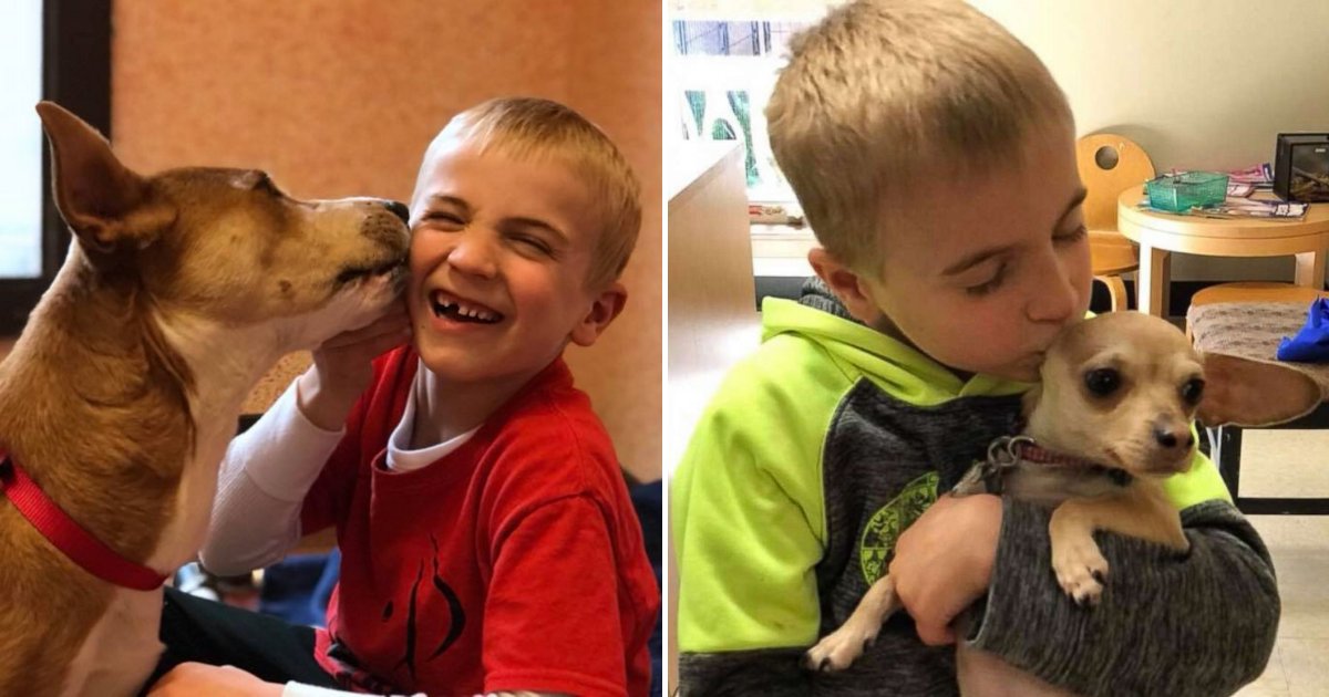 roman6.png?resize=412,275 - 7-Year-Old Boy Saved The Lives Of More Than 1,200 Dogs Destined To Be Euthanized