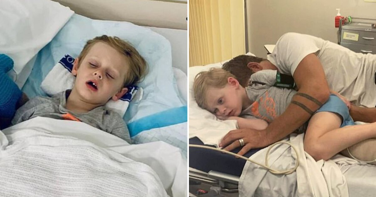 snake6.png?resize=412,275 - 4-Year-Old Boy Was Injured By 15-Foot Scrub Python Before Dad Came To The Rescue