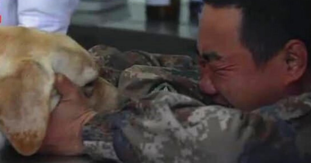 soldier6.png?resize=412,232 - Un soldat a fondu en larmes alors qu'il faisait ses adieux à son chien gravement malade