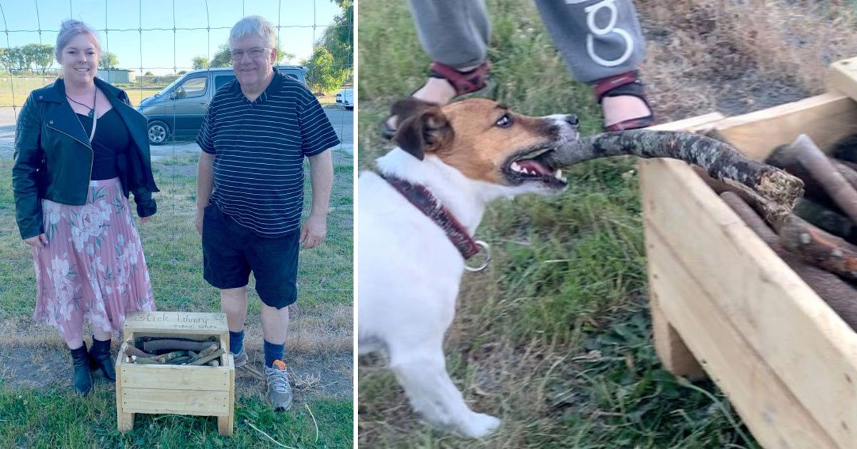 stick library dogs.jpg?resize=412,275 - Man Built A ‘Stick Library' For Dogs At A Park Using Dead Branches