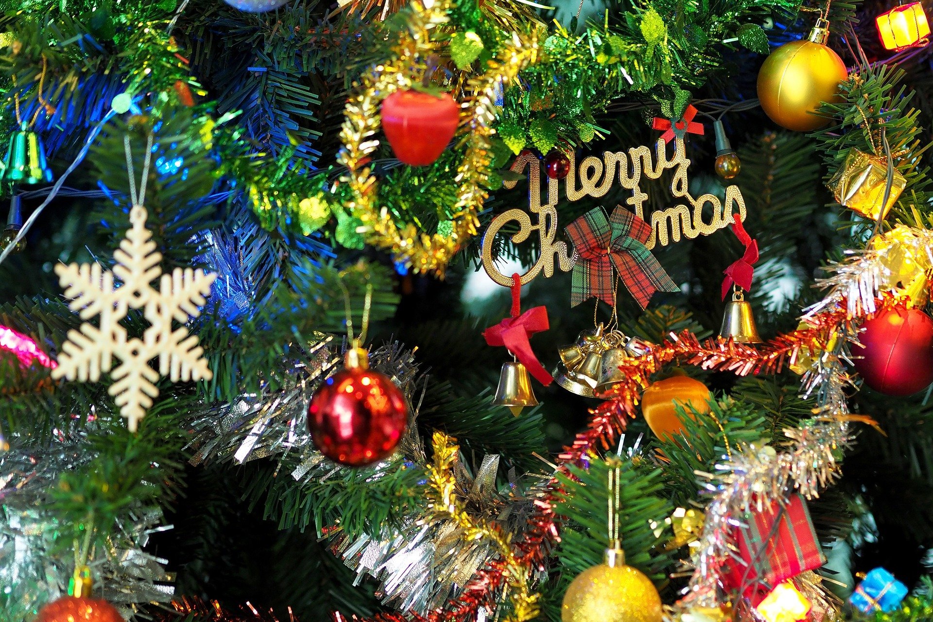 the christmas tree 1081320 1920.jpg?resize=412,232 - Cadeau de Noël : Ian Somerhalder partage son numéro de téléphone avec ses fans