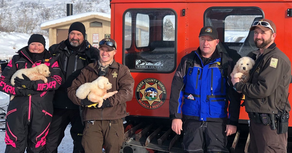 untitled 1 36.jpg?resize=1200,630 - 'Hero' Snowmobilers Rescued 3 Adorable Puppies From A Snowy Mountain