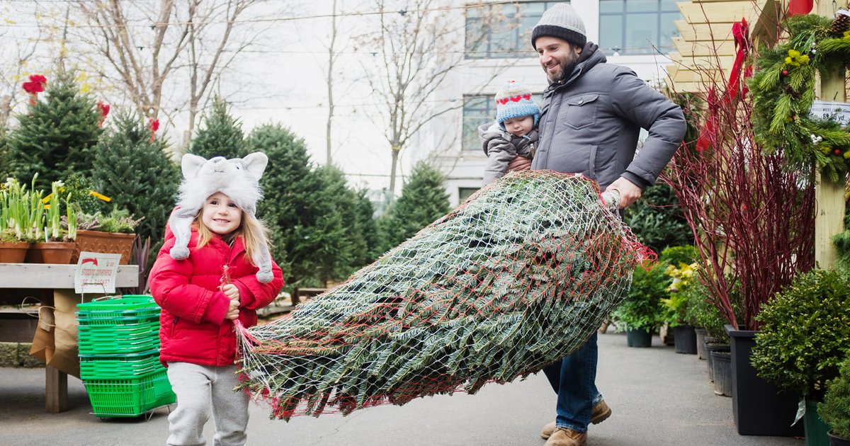 untitled 1 58.jpg?resize=412,275 - Some Christmas Trees Are Costing Up To $6,500 In New York City