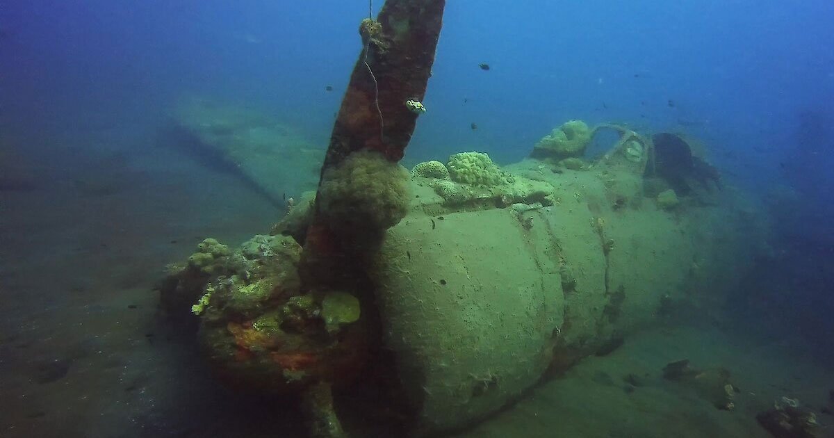 untitled 1 9.jpg?resize=1200,630 - A Historic WWII Plane Was Found 60 Years Later
