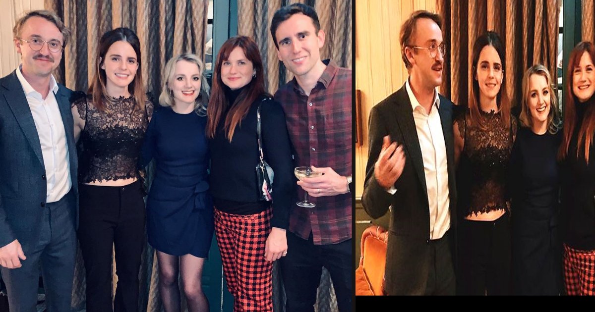 untitled 1 95.jpg?resize=412,275 - The Cast Of Harry Potter Posed For A Picture Together