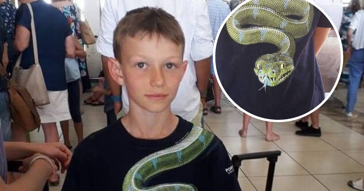 untitled design 16 5.png?resize=412,232 - Boy Told To Remove His Shirt Before Boarding A Plane Because It Had A Snake Printed On It