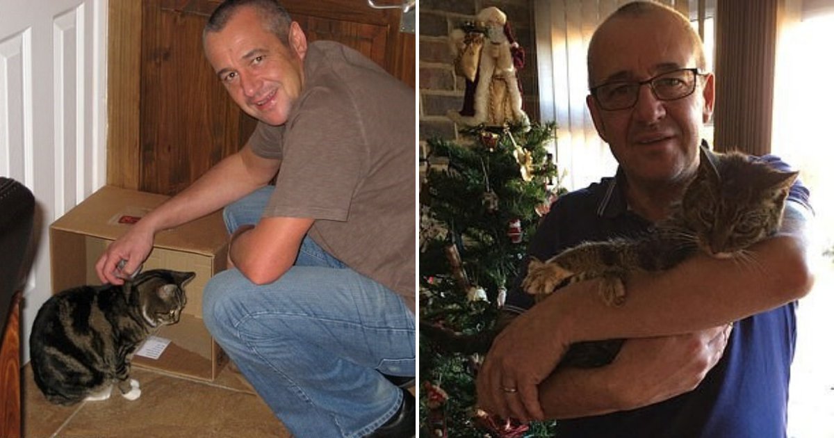 untitled design 17 2.png?resize=412,275 - Cat Reunited With Owners On Christmas Eve Six Years After It Went Missing