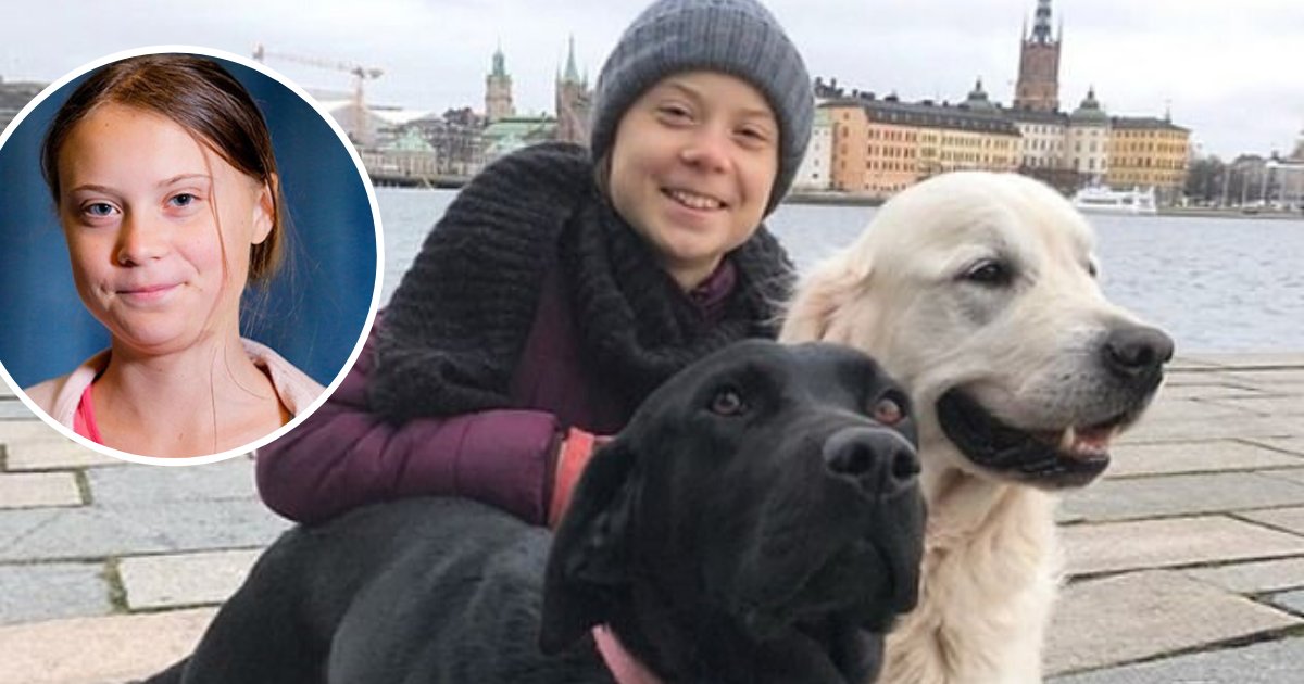 untitled design 22 1.png?resize=1200,630 - Greta Thunberg Celebrated Her Return Home With A Picture With Her Dogs