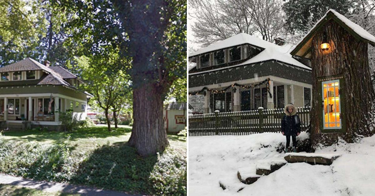 untitled design 26.png?resize=412,275 - Woman Converted A Large Tree Stump Into A Library For Neighbors