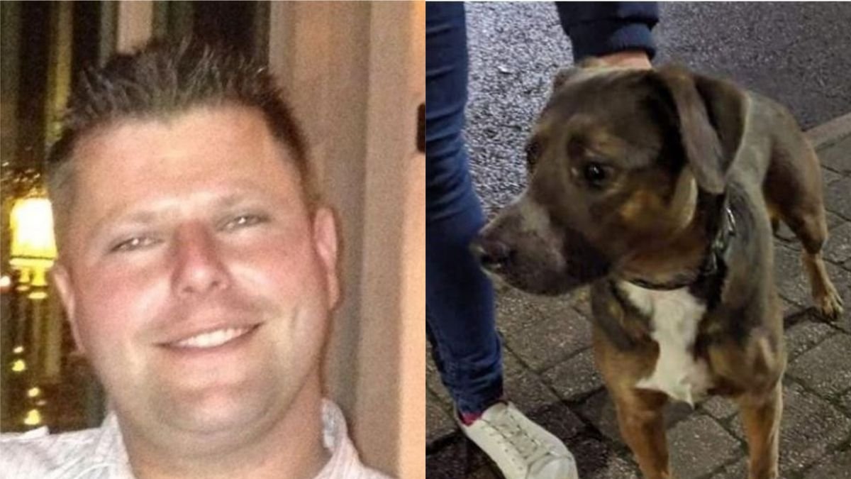 0 sy men 231219dog 03.jpg?resize=412,275 - 37 Years Old Drunken Man Took His Dog's Life by Kicking Her Over a 100 Times