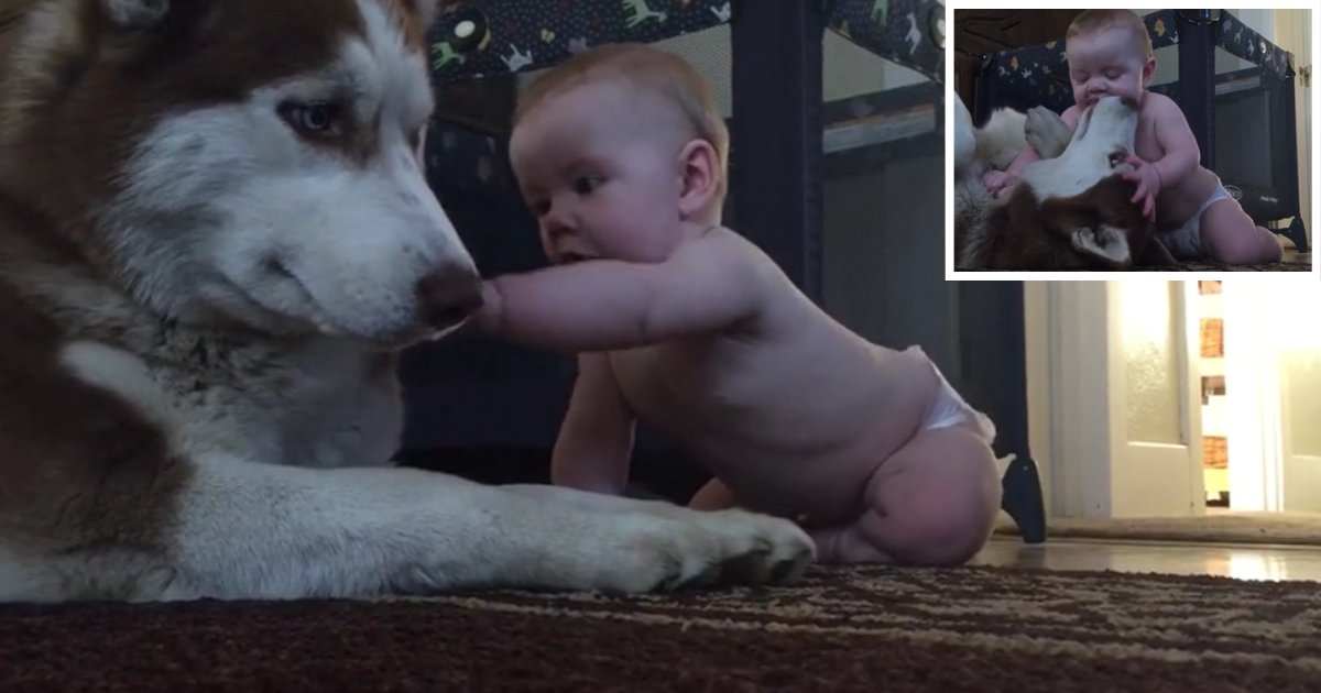 1 1.png?resize=412,275 - Best Friends for Life Show Their Love For One Another In Adorable Video