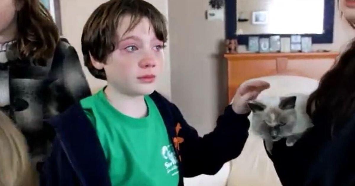 1 106.jpg?resize=412,275 - Mom Found Family's Missing Cat and Son Couldn't Stop Crying