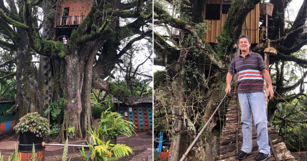 1 169.jpg?resize=412,275 - A Man Created An Unique Treehouse Hotel In Galapagos Islands