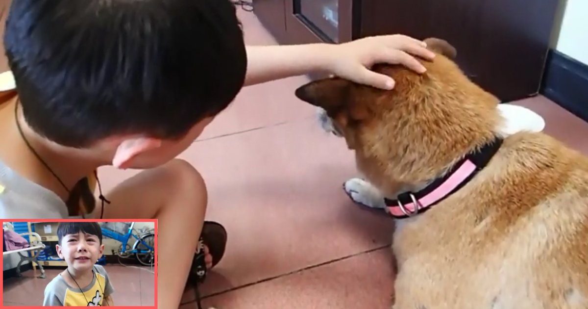 1 29.png?resize=1200,630 - Boy Must Say His Final Goodbyes To His Dog In Tearful Moment