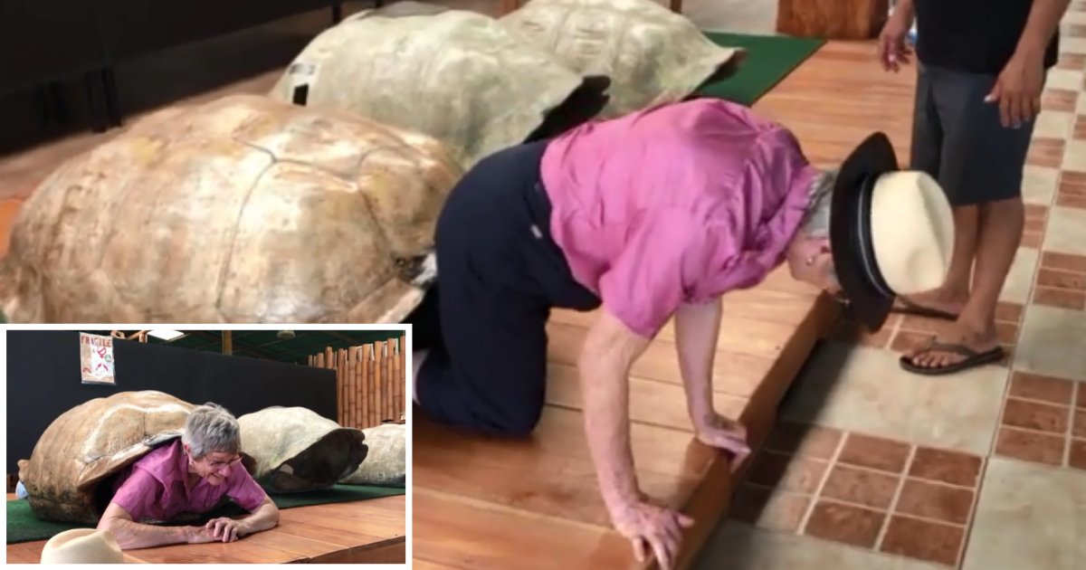 1 51.png?resize=412,232 - 82 Years Old Woman Crawled Inside a Giant tortoise’s shell