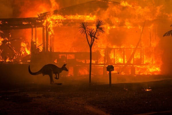 Resultado de imagen de bushfire australia"