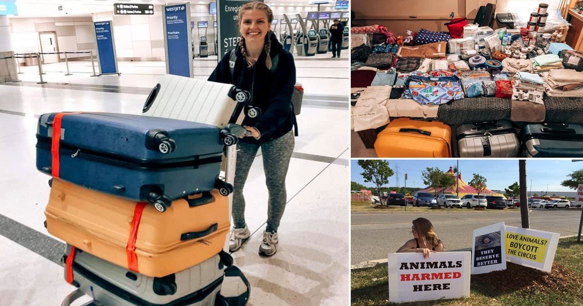 2 155.jpg?resize=1200,630 - Une jeune femme a dépensé ses économies pour aller en Australie et aider les animaux touchés par les incendies