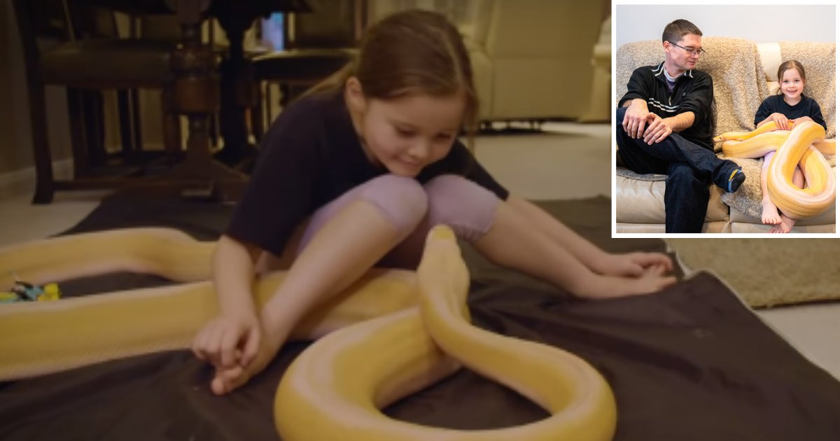 2 72.png?resize=412,232 - This 7 Years Old Girl is Best Friends With a 15 Feet Long Python