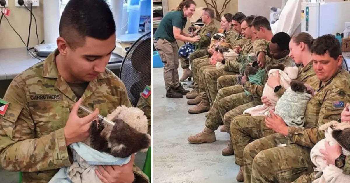 2 78.png?resize=412,232 - Australian Army Soldiers Care for Bushfire Koalas During their Break