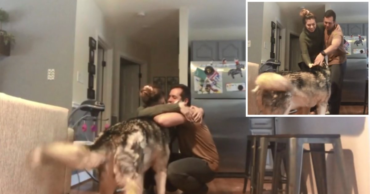 3 60.png?resize=1200,630 - Alaskan Malamute Feels Jealous Every Time People Hug In Front of Him